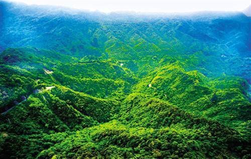 我國(guó)成為(wèi)全球森林资源增長(cháng)最快的國(guó)家